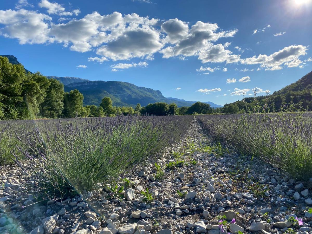 Gite En Haute Provence Montfroc Екстер'єр фото