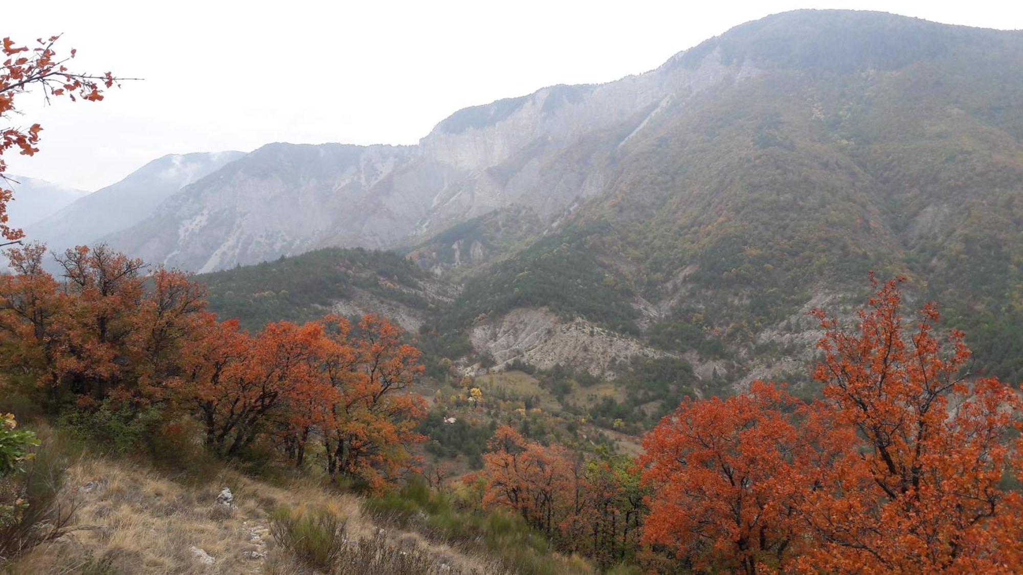 Gite En Haute Provence Montfroc Екстер'єр фото